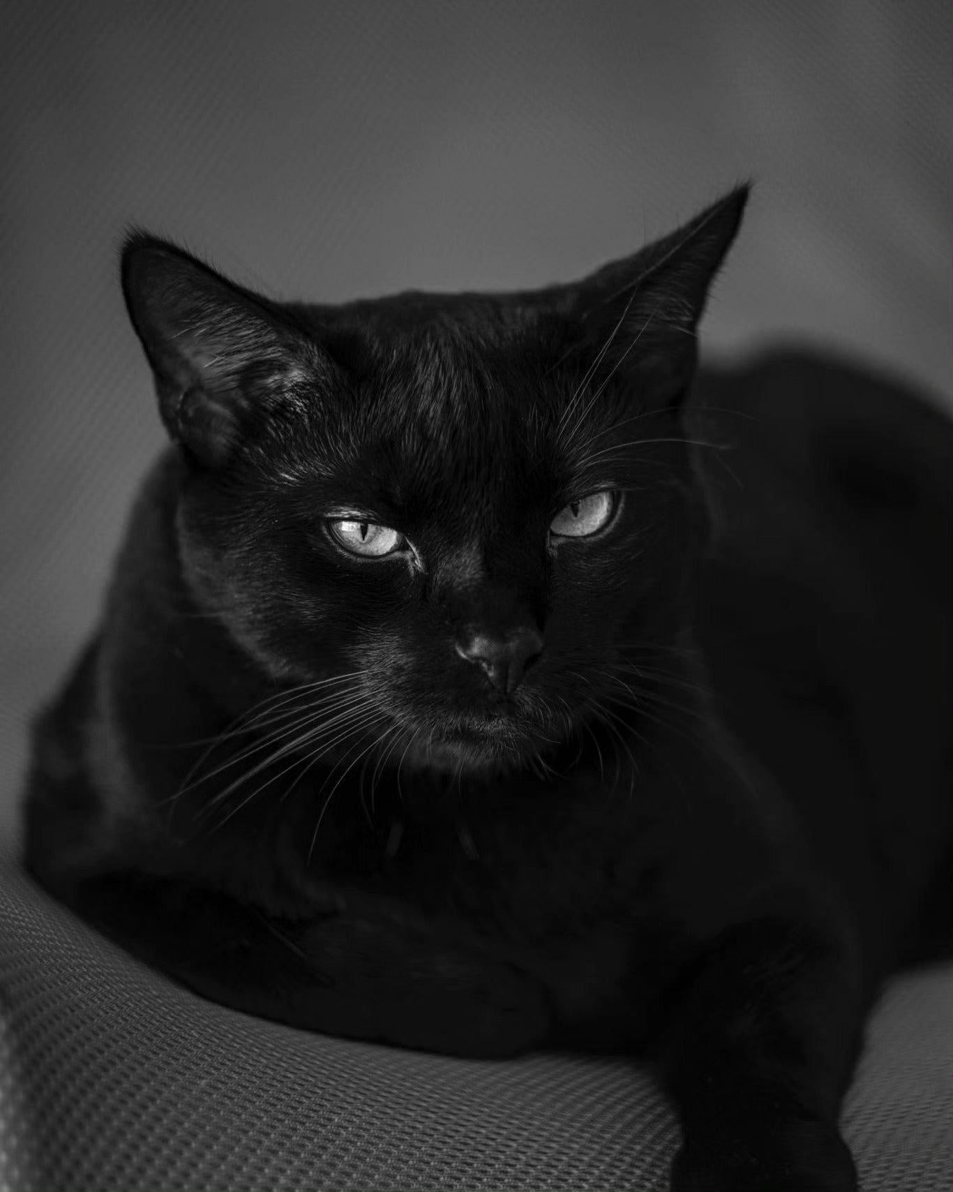 Oda a Jordi, guardián de la luz