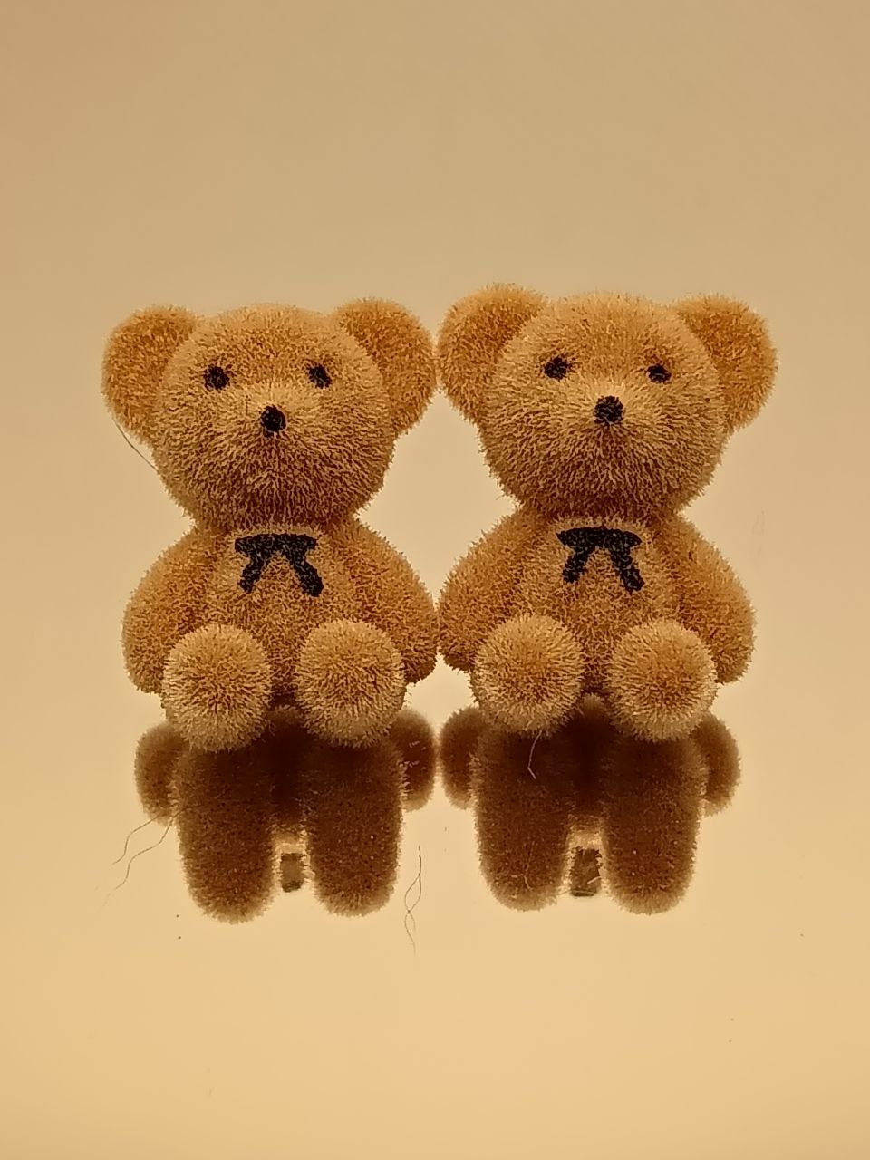 Honey Teddy